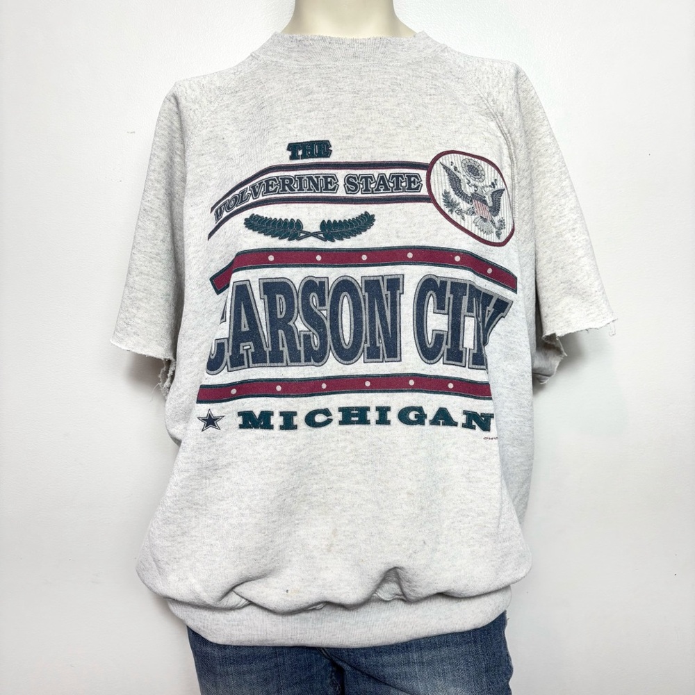 Vintage Carson city Michigan sweatshirt tee
